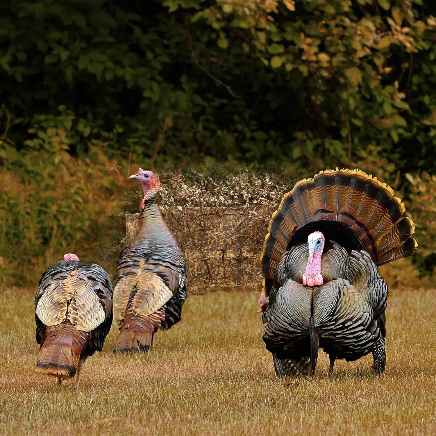 Lenotos Pop Up Ground Blind, Easy-Setup Hunting Blind for Deer, Turkey, Duck - Dry Grass Camo